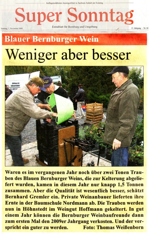 Pressebeitrag Super Sonntag 'Blauer Bernburger Wein'